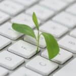 Image d'un clavier avec un plante qui pousse sur le clavier